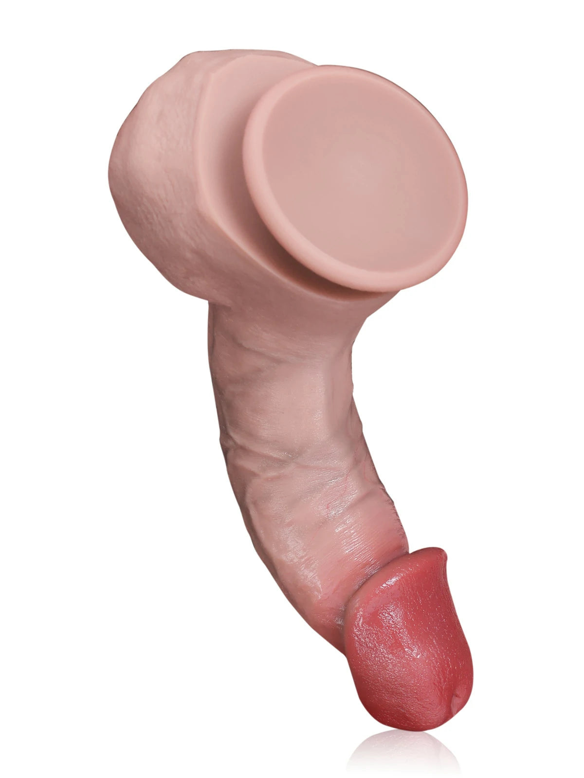 Wilhelm | Realistischer Dildo mit Pilzeichel und Rückengratleiste | 22,5 cm